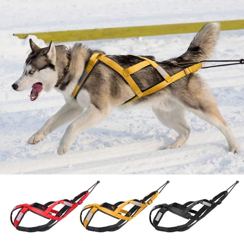 X Back Dog Sled Harness