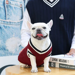 Dog Sweater College Style